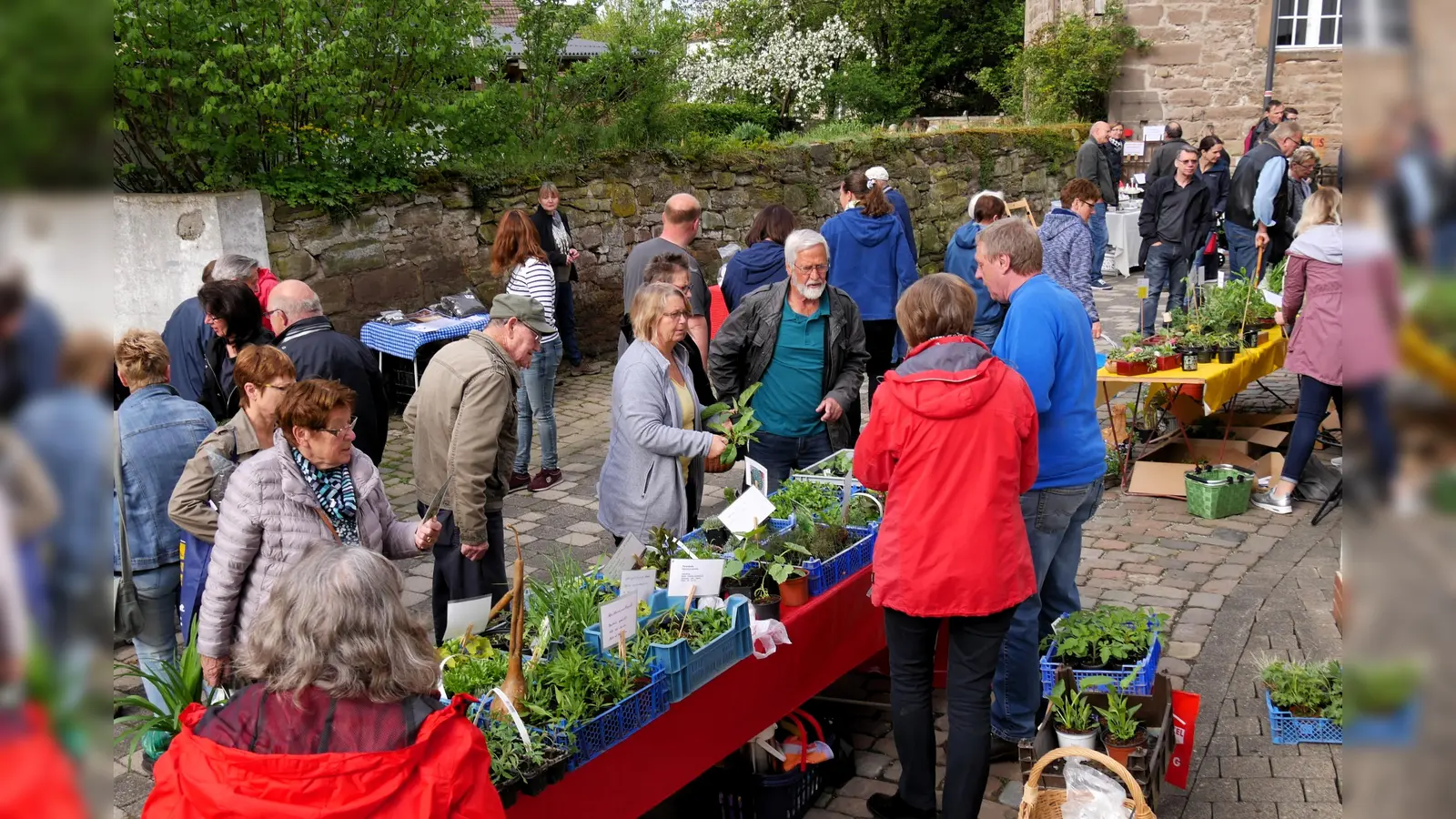 Rund um das Steinerne Haus in Borgentreich können Hobbygärtner und Pflanzenfreunde wieder Pflanzen, Knollen, Samen und Gartenkunst entdecken. (Foto: BI Lebenswertes Bördeland & Diemeltal)