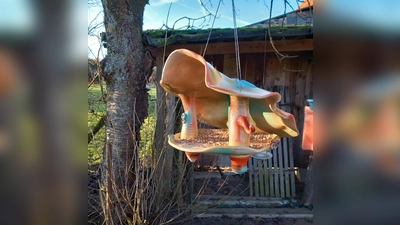 Ein Vogelhaus aus Ton - nur einer von vielen Schätzen, die es am Wochenende der Töpferei zu entdecken gibt. (Foto: privat)