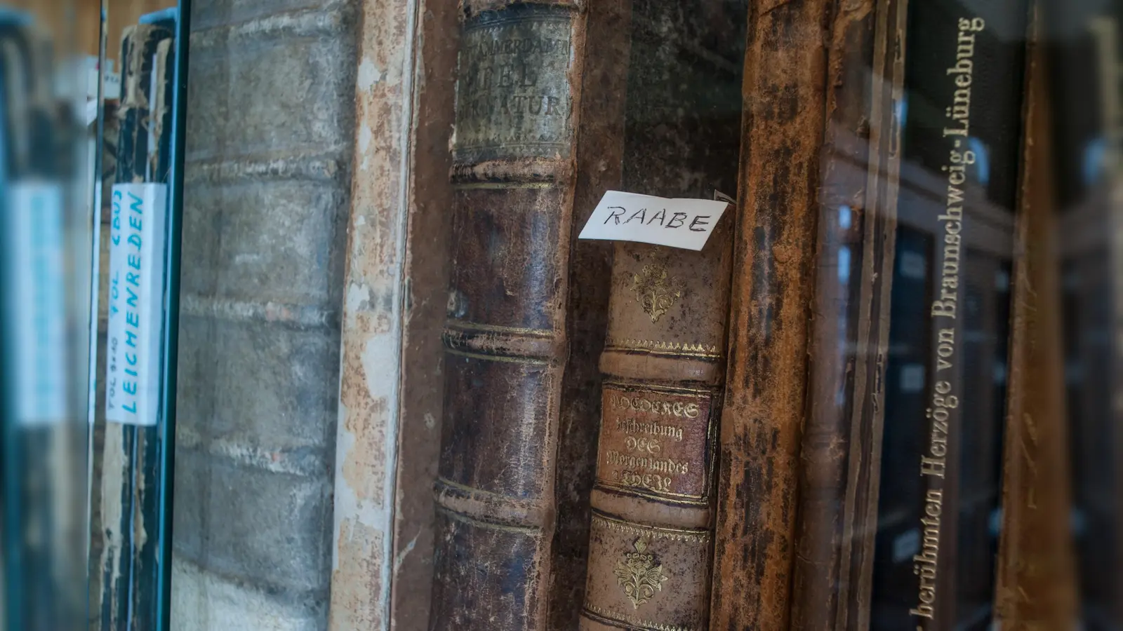 Buchschätze aus der Bibliothek  (Foto: Schloss Bevern)