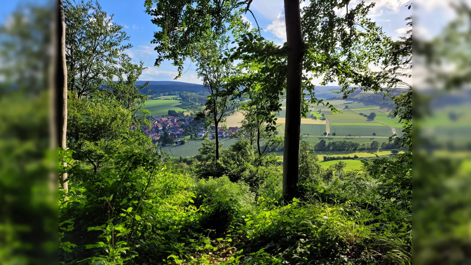 Die Amtsberge laden zum Staunen und Entdecken ein. (Foto: SVR/Wandertag_Mackensen)
