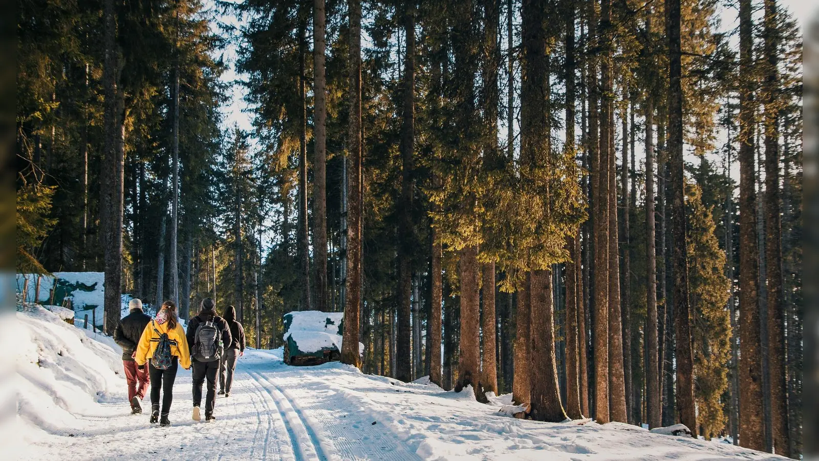 Symbolbild (Foto: pixabay)