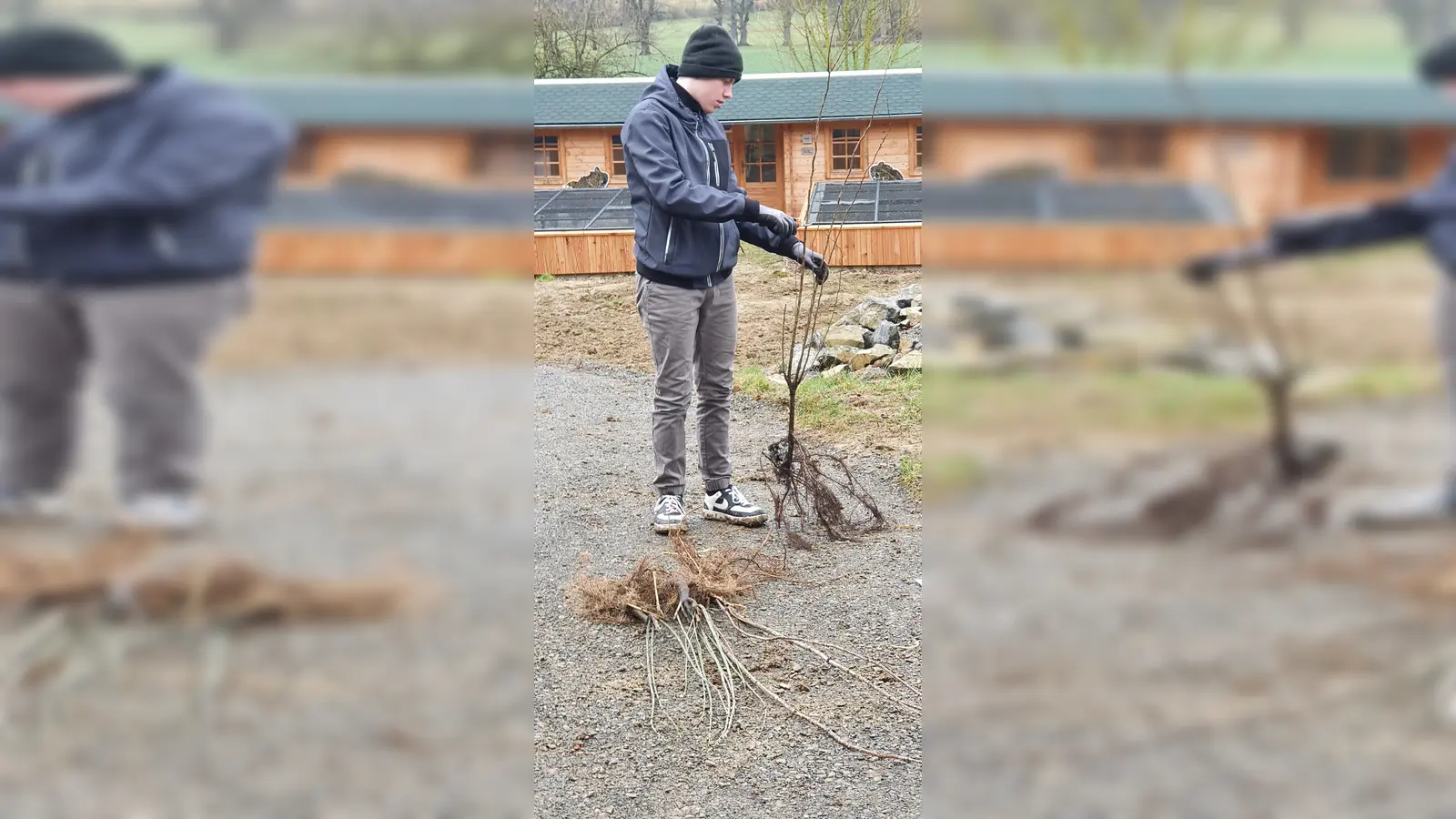 Vor dem Pflanzen wurden die Sträucher von den Schülern fachgerecht zurückgeschnitten.  (Foto: Barbara Siebrecht)