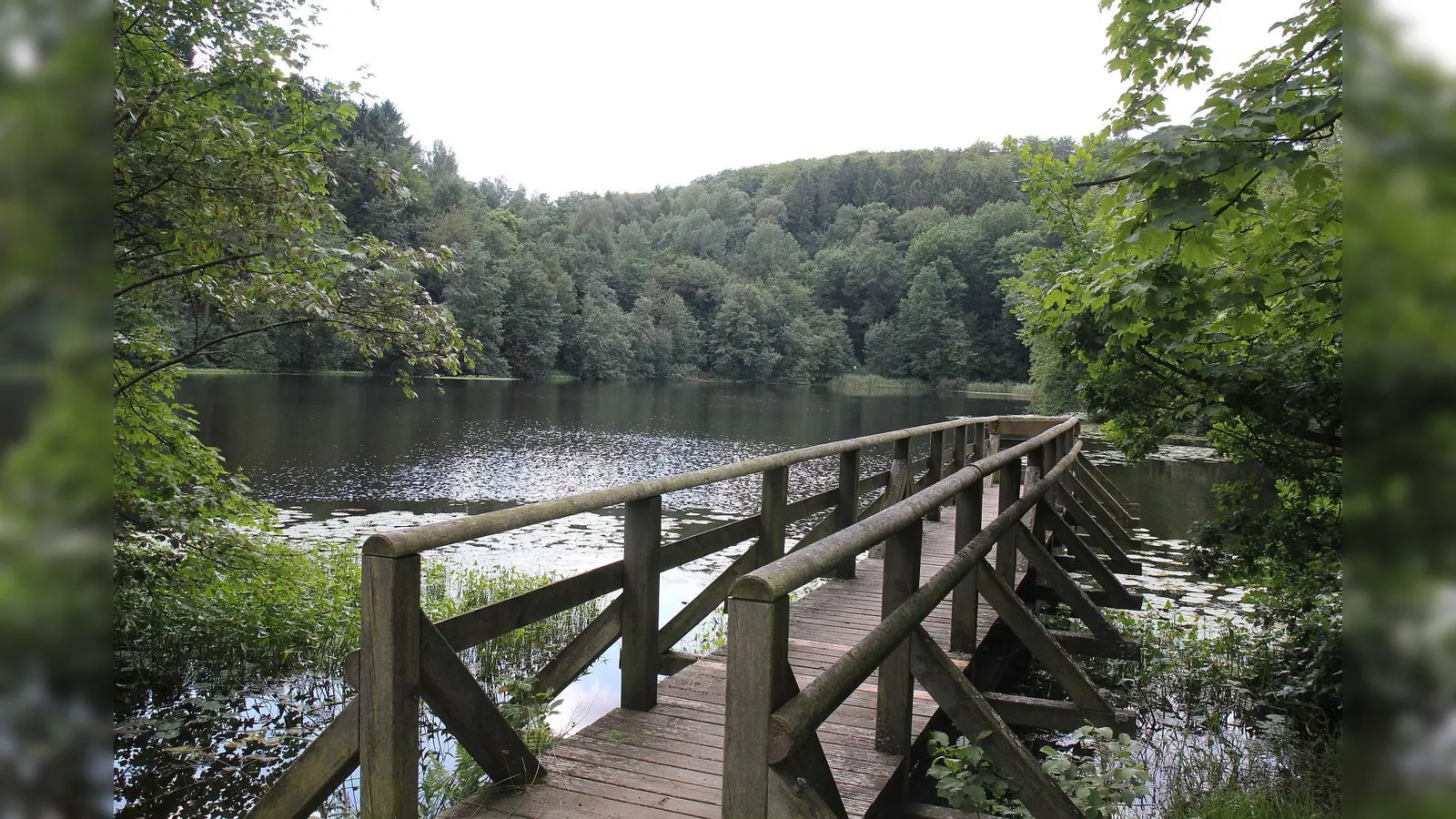Bergsee Delliehausen. (Foto: Touristik-Information Uslar)
