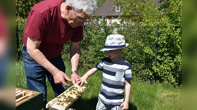 Leo darf bei Imker Hubert Otto direkt aus der Wabe probieren. (Foto: Huxarium Gartenpark Höxter)