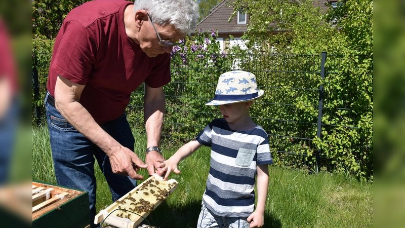 Leo darf bei Imker Hubert Otto direkt aus der Wabe probieren. (Foto: Huxarium Gartenpark Höxter)