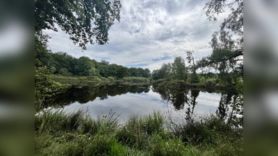 RWN - Am Rothbalzer Teich. (Foto: Julia Sürder)