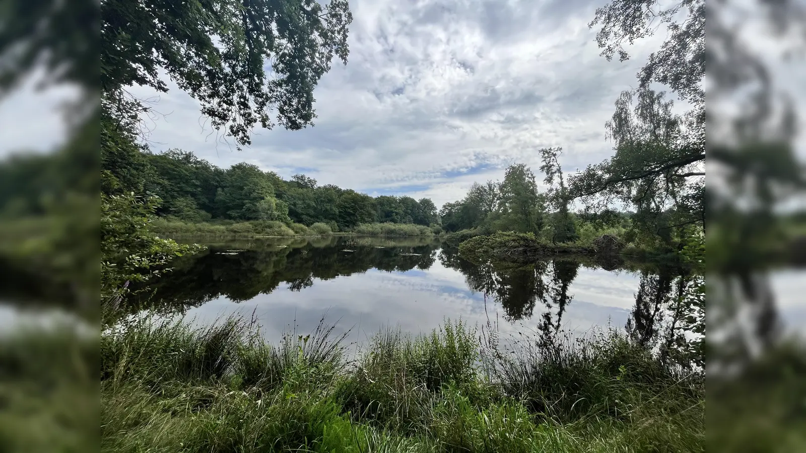 RWN - Am Rothbalzer Teich. (Foto: Julia Sürder)