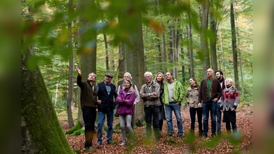 Waldführung im FriedWald. (Foto: FriedWald GmbH)