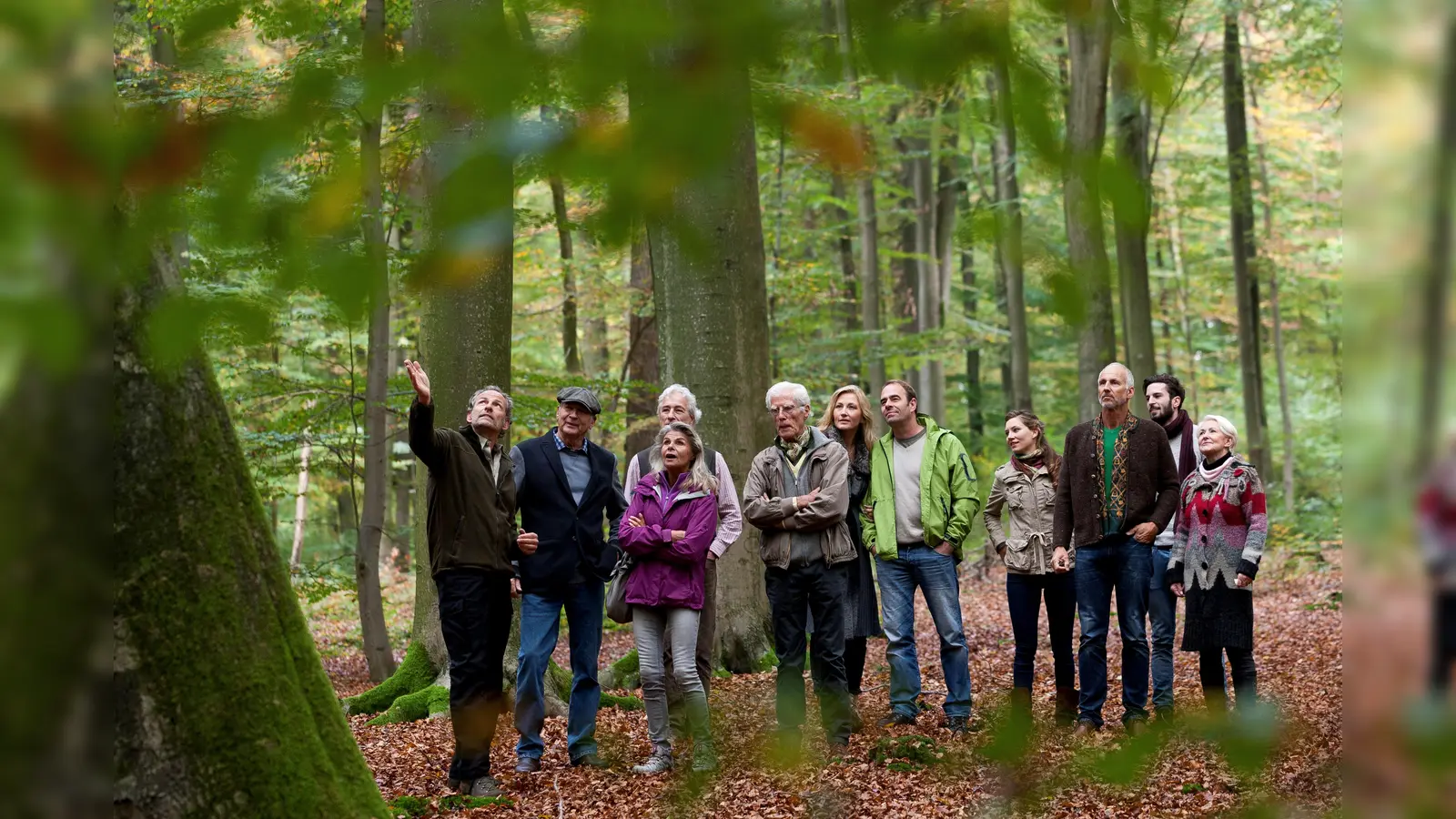 Waldführung im FriedWald. (Foto: FriedWald GmbH)