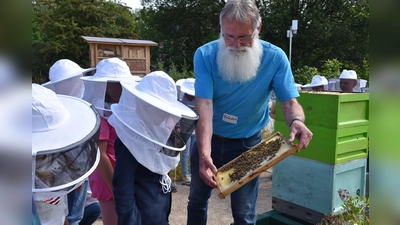 Der Kurs rund um die Honigbiene fand großen Anklang. (Foto: Huxarium Gartenpark Höxter)
