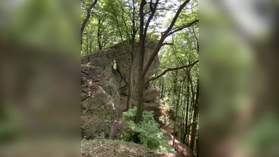 Das Naturschutzgebiet „Ith“. (Foto: Landkreis Holzminden)