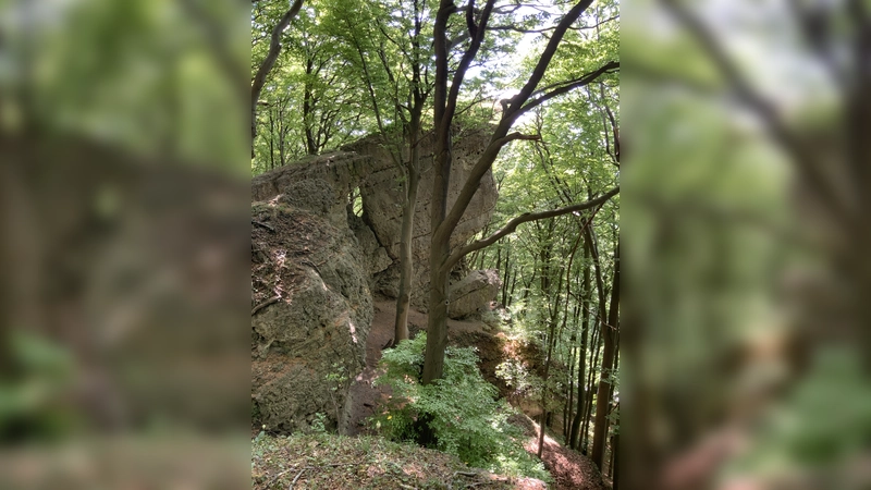 Das Naturschutzgebiet „Ith“. (Foto: Landkreis Holzminden)
