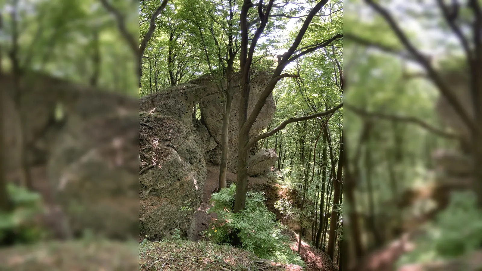 Das Naturschutzgebiet „Ith“. (Foto: Landkreis Holzminden)