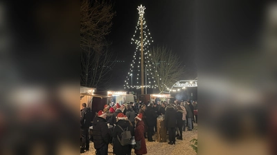 Der Maibaum wird zum Weihnachtsbaum. (Foto: privat)