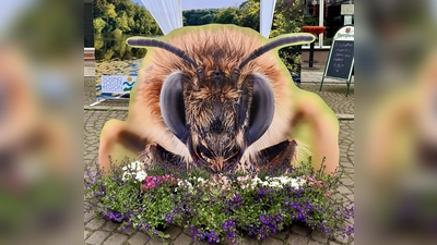 Bienenmarkt in der Langen Straße. (Foto: Stadt Uslar)