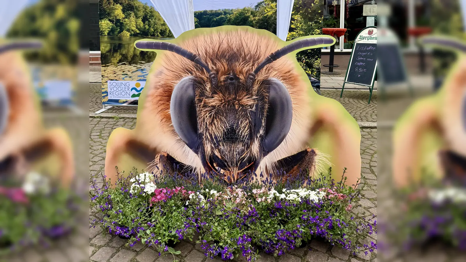 Bienenmarkt in der Langen Straße. (Foto: Stadt Uslar)