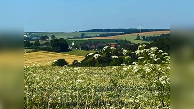 Impressionen auf der Wanderroute. (Foto: privat)