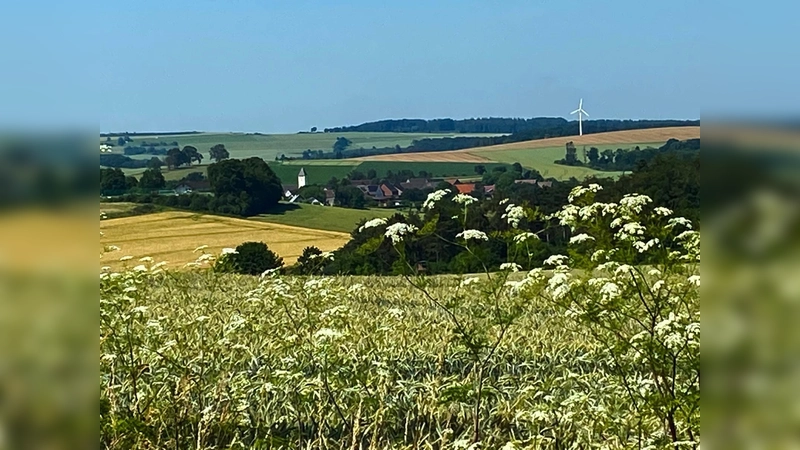 Impressionen auf der Wanderroute. (Foto: privat)