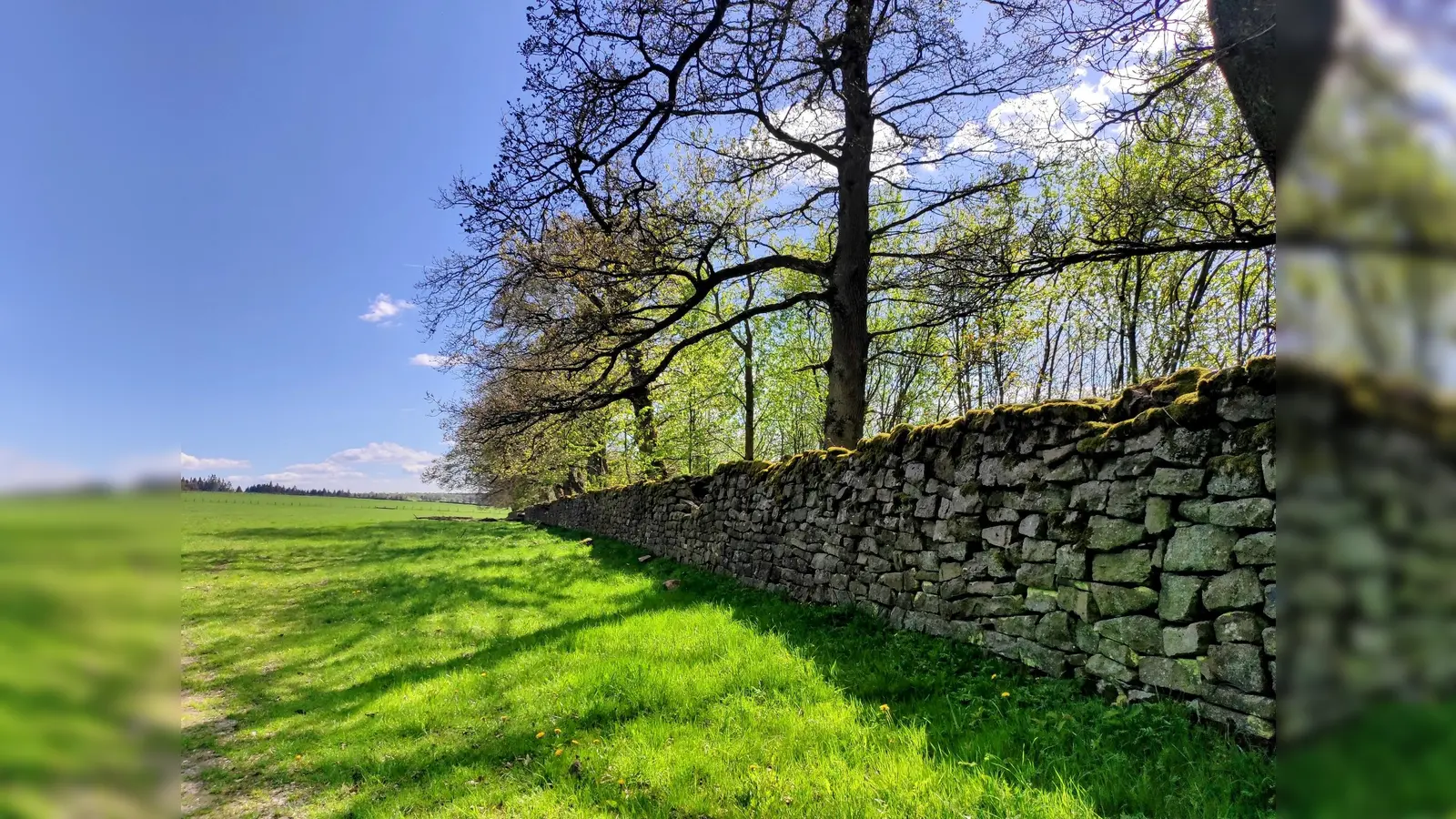 Natur erleben und Stempel sammeln: Wanderfreunde können die vielfältige Landschaft der Solling-Vogler-Region genießen und haben die Gelegenheit, sich einen Sonderstempel zu sichern. (Foto: 250519_SVR_Neuhäuser_Wandertag_R.Heise_1000052121)