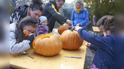 Viel Spaß hatten die Kinder beim Schnitzen der Kürbislaternen. (Foto: Stefan Bönning)