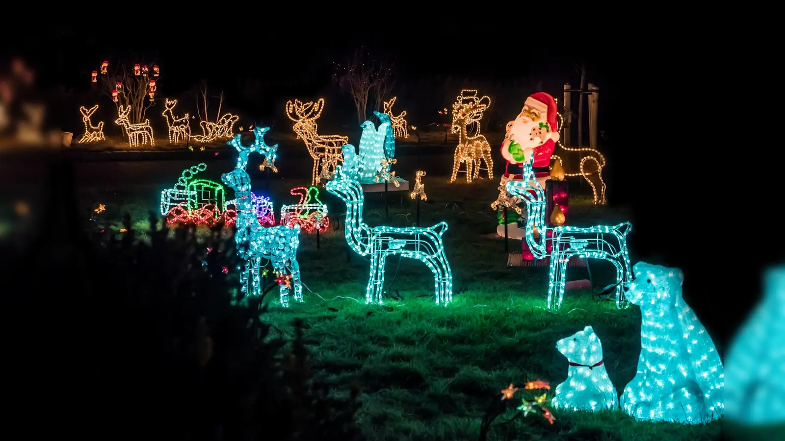 LEDs sind die beste Wahl (Foto: Pixabay)