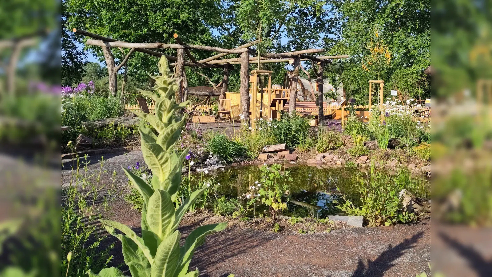 Ein Naturgarten vereint ästhetische Gestaltung mit dem Erhalt der biologischen Vielfalt. (Foto: Ralf Haffke)