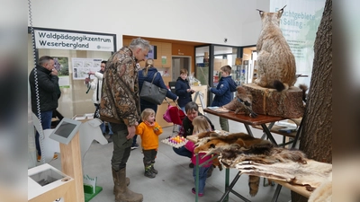 Im Wildparkhaus. (Foto: Touristik-Information Neuhaus und Silberborn)