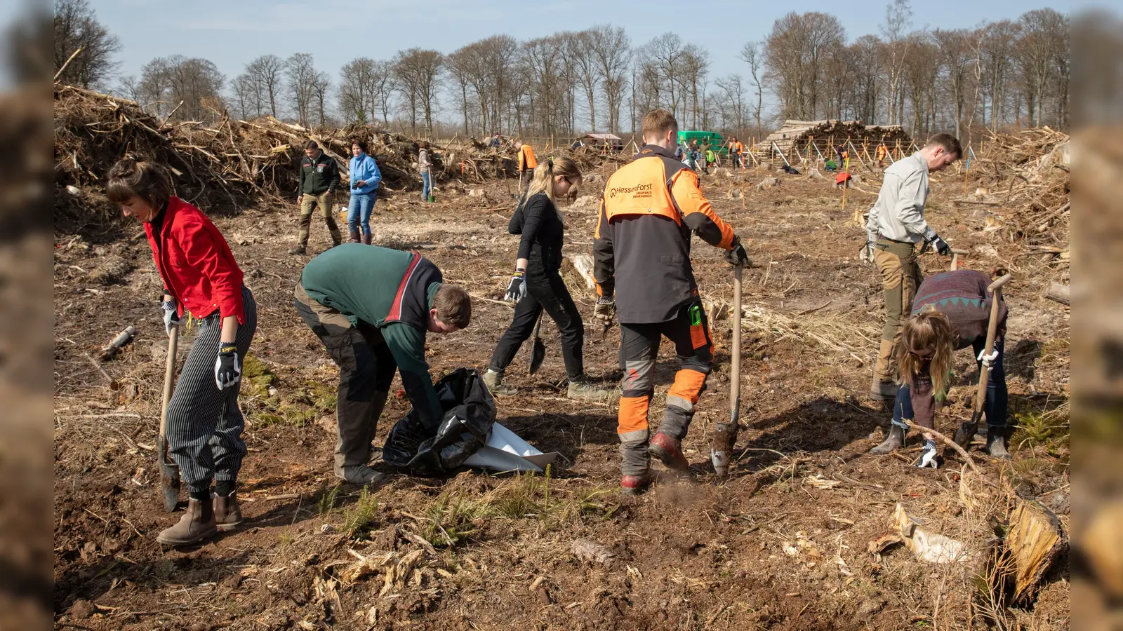 „Dein Tag für den Wald“: Mehr als 30 Pflanz- und Mitmachaktionen bei HessenForst<br><br> (Foto: A. Weber)