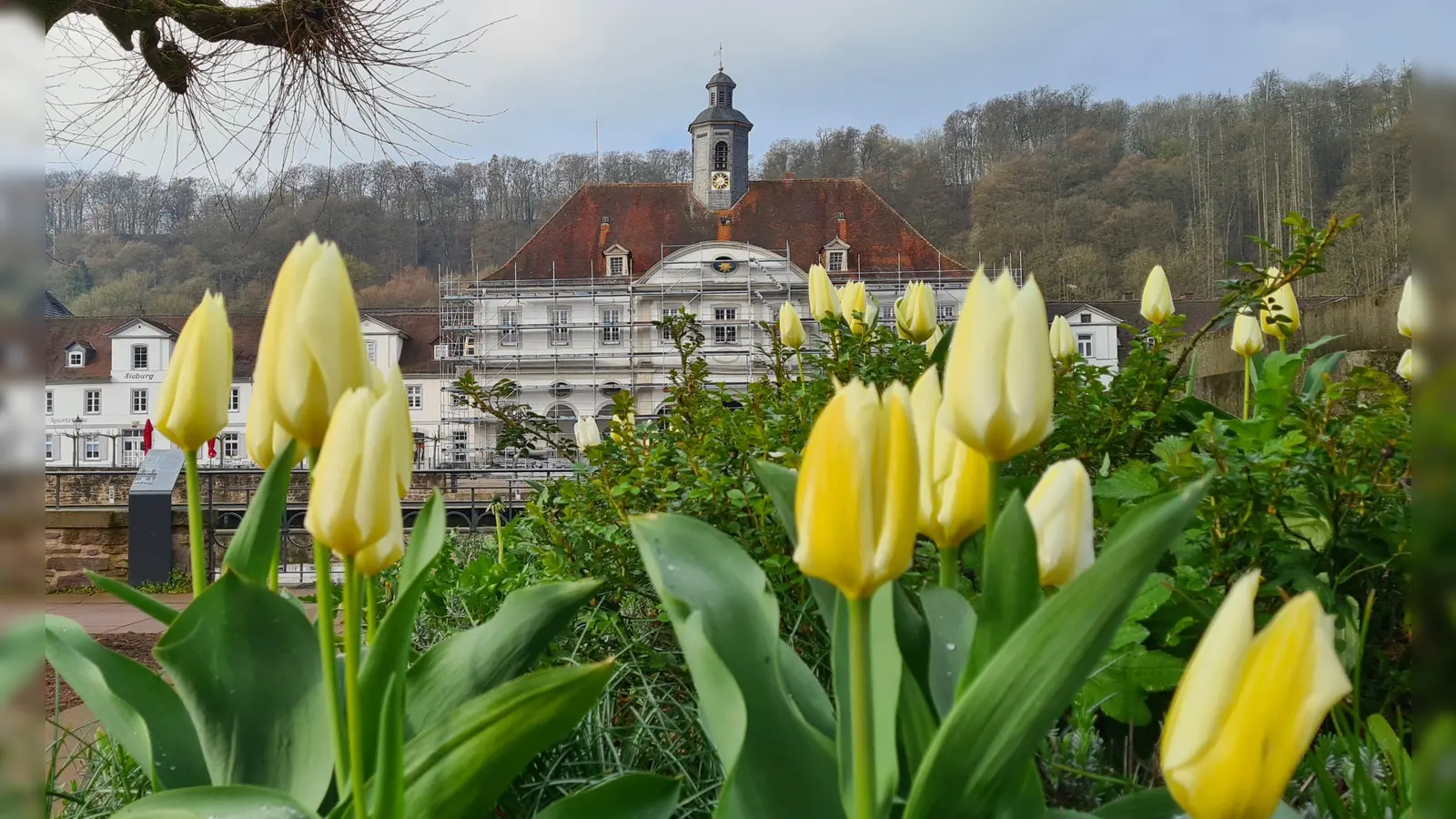 Frühlingshaftes Flair am Hafenbecken in Bad Karlshafen.  (Foto: Peter Vössing)
