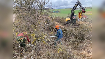 Im Rahmen des Erprobungs- und Entwicklungsvorhabens „Nachhaltige Renaturierung von Kalkmagerrasen“, gefördert vom Bundesamt für Naturschutz sowie den Ländern Nordrhein-Westfalen und Hessen, hat der Landkreis eine Firma beauftragt, dichtes und störendes Gestrüpp zu entfernen und dadurch die Weidefläche für die Schafe zu vergrößern. (Foto: Foto: Landkreis Kassel)