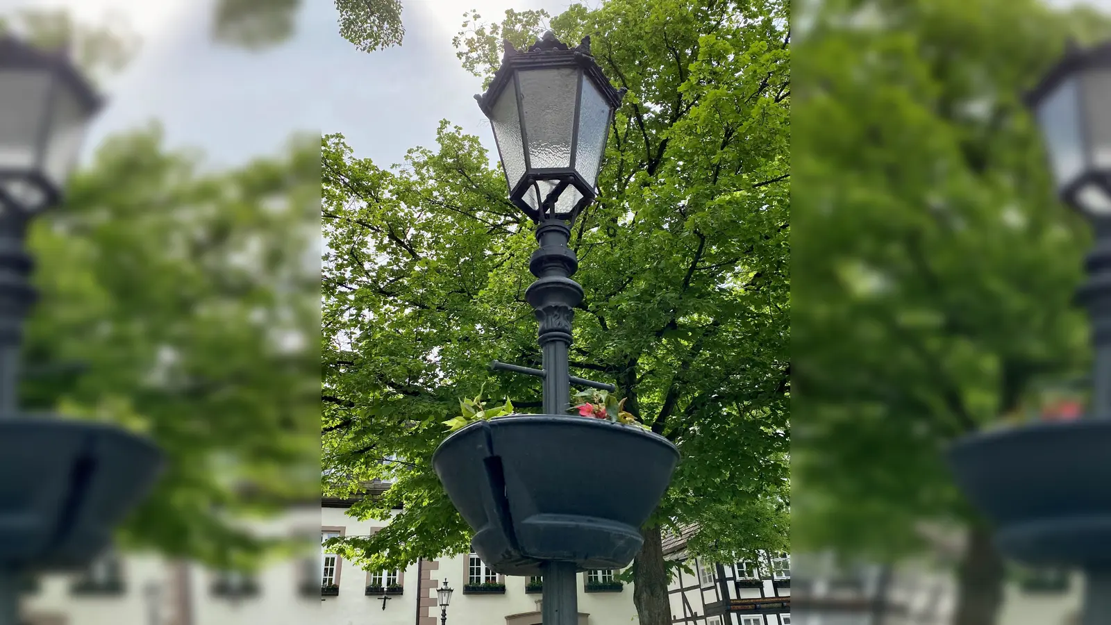 Blumenampel in der Weserstraße. (Foto: Beverungen Marketing)