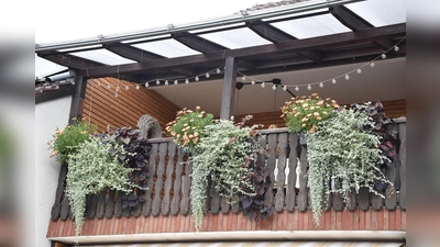 Der Siegergarten (Foto: Barbara Siebrecht)