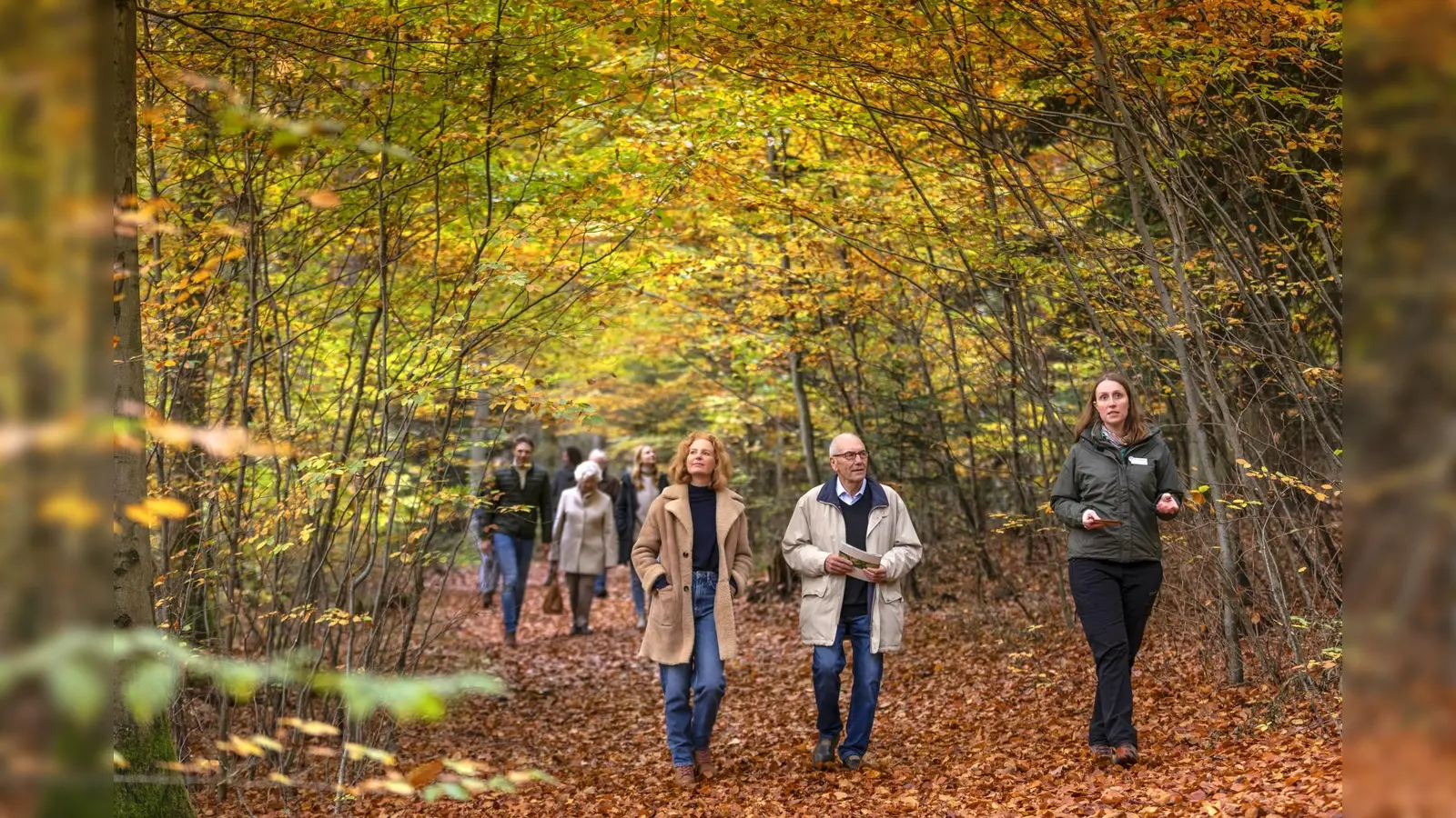 Waldführung am Waldinfotag im FriedWald. (Foto: FriedWald GmbH/T. Gasparini)