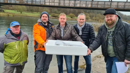 Glasaale ausgesetzt: (v.l.) Peter Thiele, Florian Siewers, Rainer Wohlfahrt, Alfred Wessels und Sascha Tengen.  (Foto: Peter Vössing)