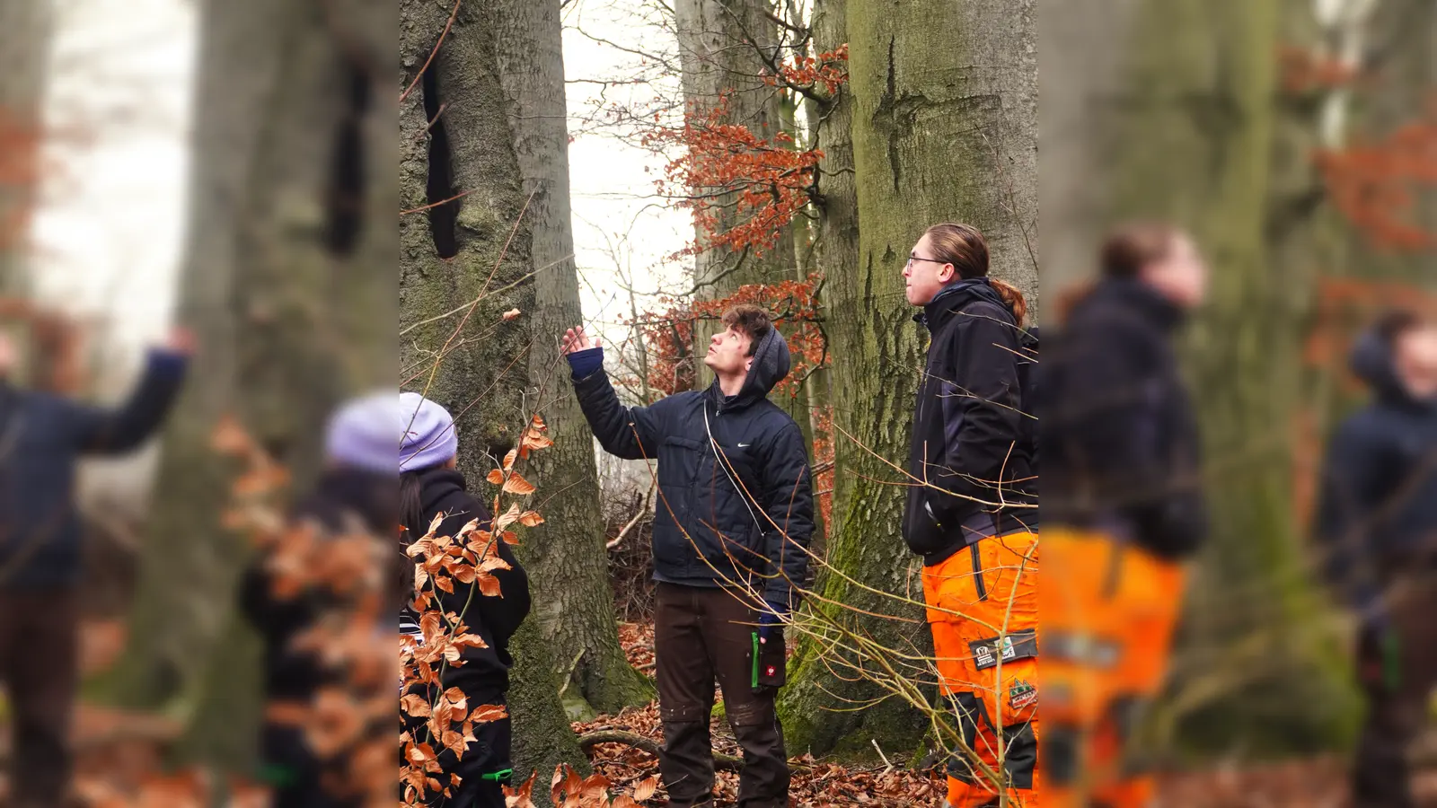Die Erfassung der vorhandenen Großhöhlen ist ein Baustein des Aufnahmeverfahrens bei der Biotopbaumkartierung. (Foto: Ronja Buchau)