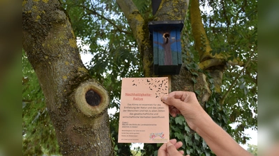 Digitale Schnitzeljagd mit QR-Codes: Zehn solche bunten Nistkästen im Archäologiepark Höxter wollen bei der Nachhaltigkeitsrallye entdeckt werden. (Foto: Huxarium Gartenpark Höxter)