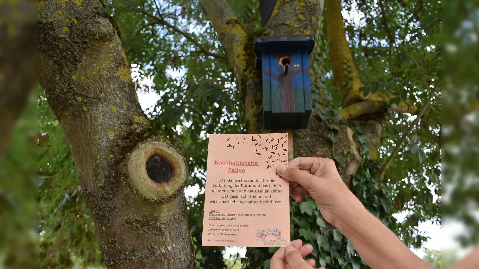 Digitale Schnitzeljagd mit QR-Codes: Zehn solche bunten Nistkästen im Archäologiepark Höxter wollen bei der Nachhaltigkeitsrallye entdeckt werden. (Foto: Huxarium Gartenpark Höxter)