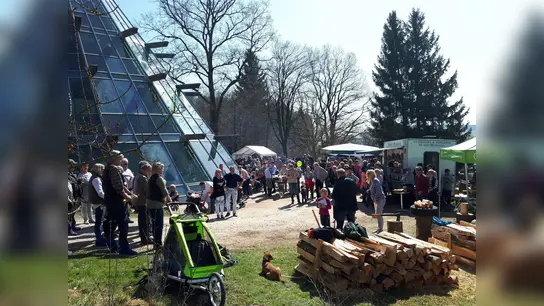 Waldmarkt im ErlebnisWald (Foto: Touristik-Information Uslar, C. Filpe)