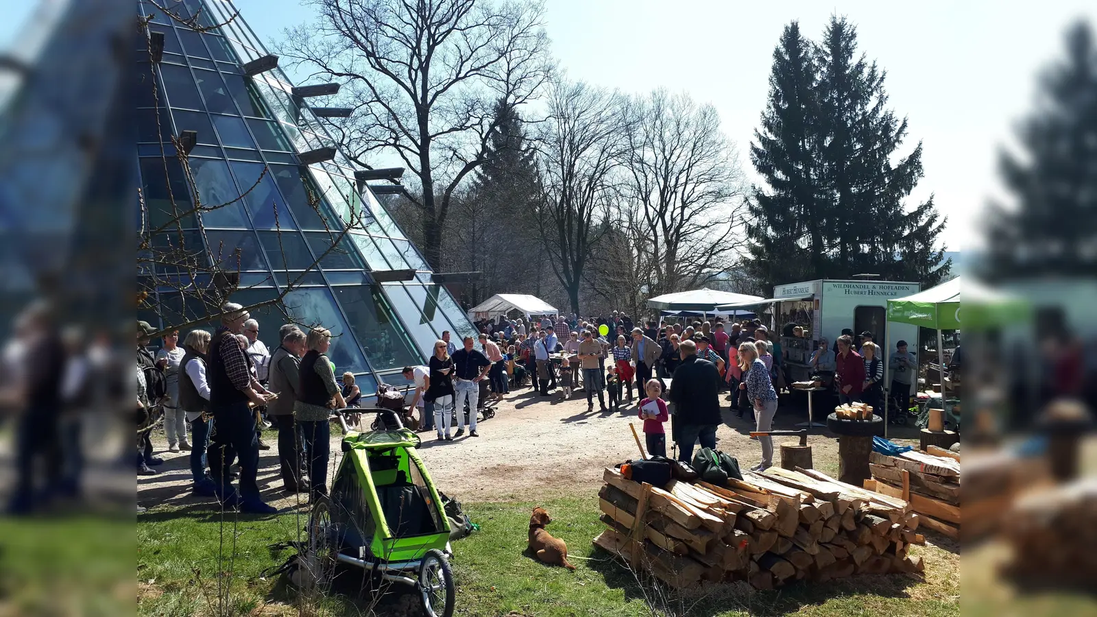 Waldmarkt im ErlebnisWald (Foto: Touristik-Information Uslar, C. Filpe)