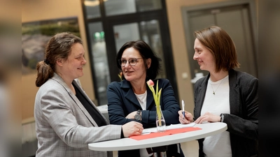 Das Beraterteam des merhWERT Empowerment-Projektes. (Foto: mehrWERT)