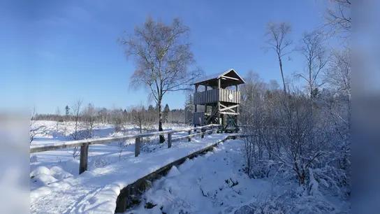 Das Hochmoor bietet eine schöne Kulisse für die erste Wanderung des Jahres. (Foto: Touristik-Information Neuhaus und Silberborn)