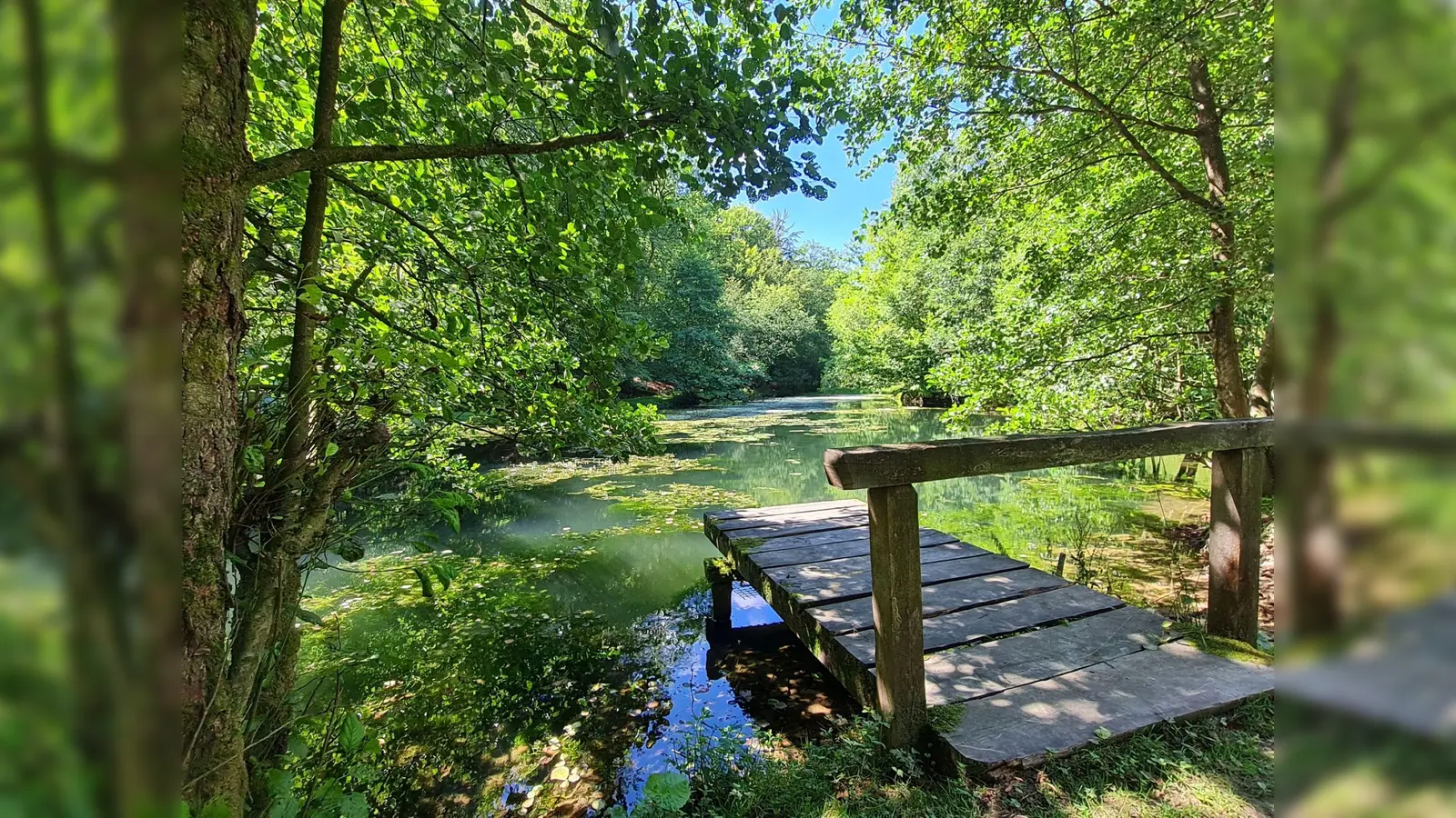 Das Reiherbachtal, Schauplatz einer Führung. (Foto: Naturpark)