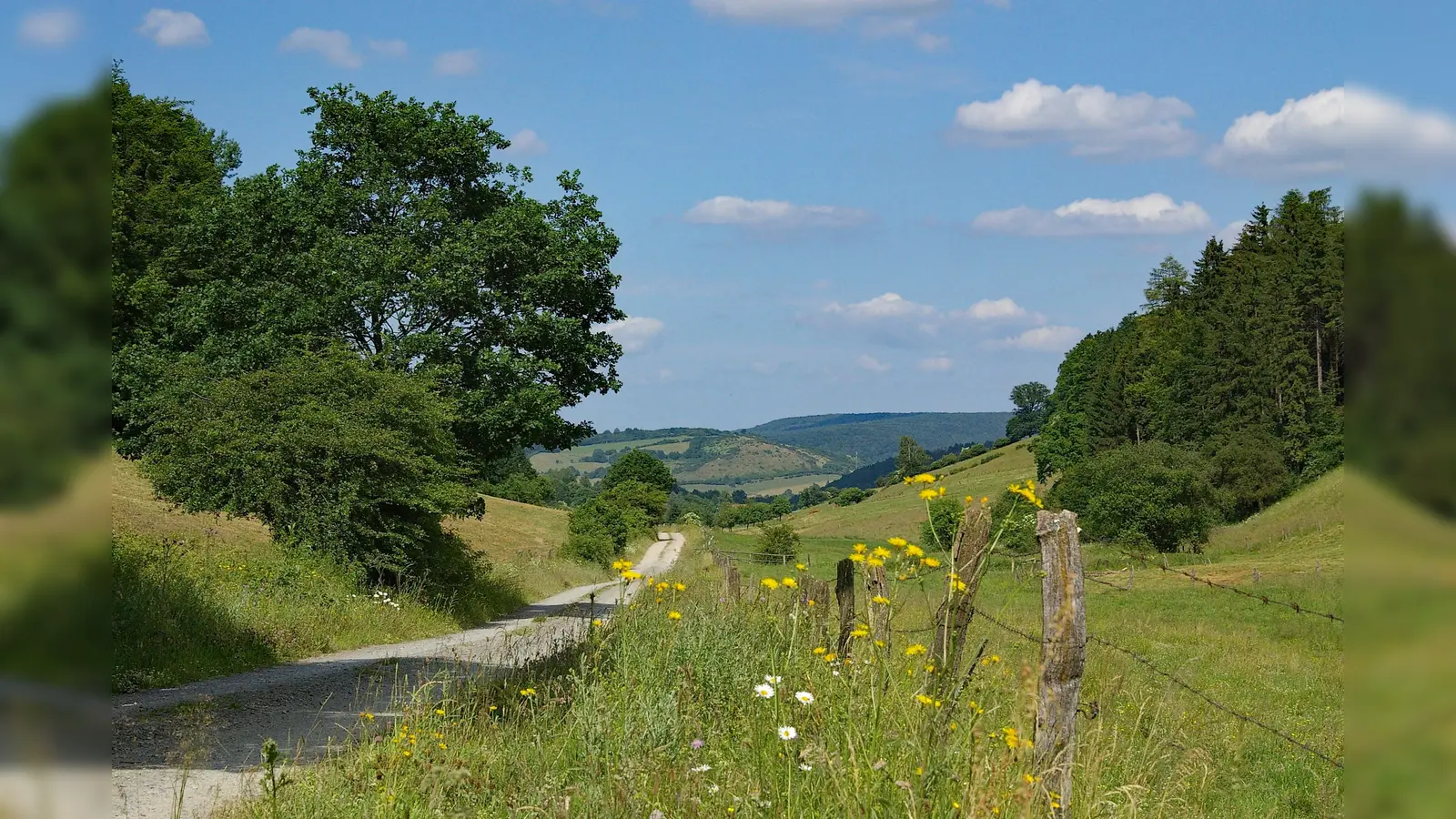 Der Schutz und die Entwicklung von artenreichem Grünland wie hier im Hellental gehört zu den Kernaufgaben der Ökologischen Station. (Foto: Dr. Ansgar Hoppe/Naturpark)