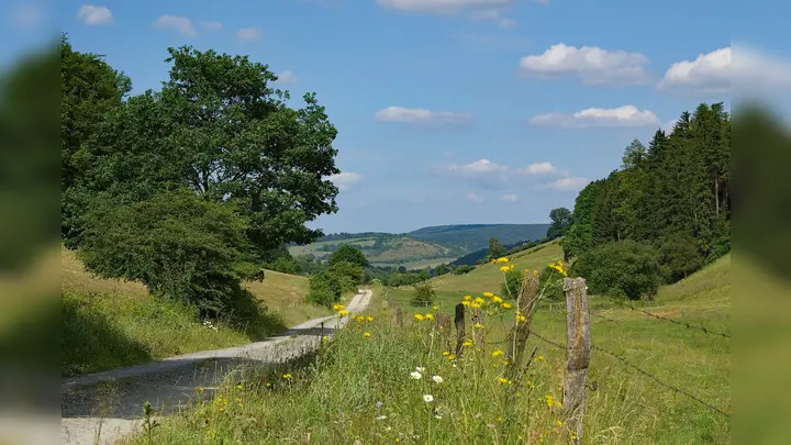 Der Schutz und die Entwicklung von artenreichem Grünland wie hier im Hellental gehört zu den Kernaufgaben der Ökologischen Station. (Foto: Dr. Ansgar Hoppe/Naturpark)