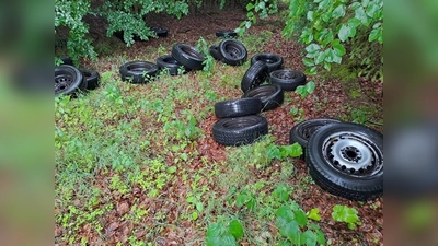 Am Sandbornweg entsorgten Unbekannte 30 Altreifen auf Felge. Der Tatort liegt zwischen Abbecke und Silberborn. (Foto: Niedersächsische Landesforsten)