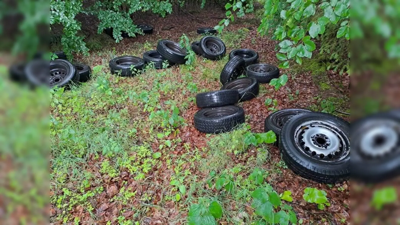 Am Sandbornweg entsorgten Unbekannte 30 Altreifen auf Felge. Der Tatort liegt zwischen Abbecke und Silberborn. (Foto: Niedersächsische Landesforsten)