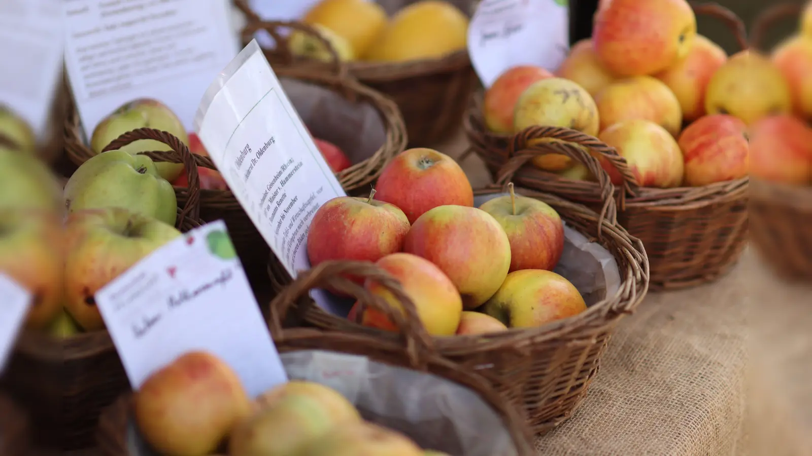 Im Tierpark Sababurg findet der beliebte Herbstmarkt statt. (Foto: David Selbert)
