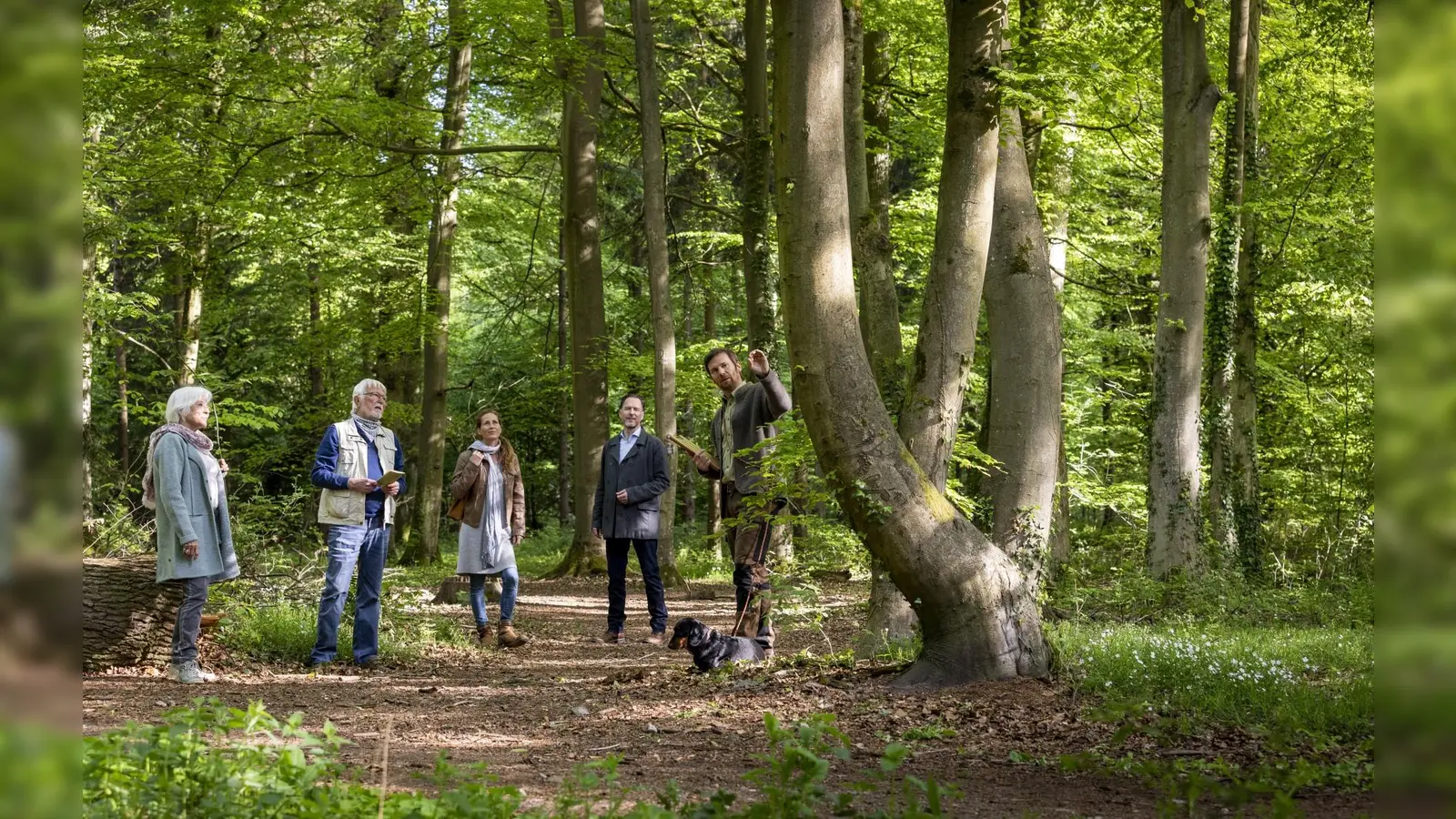 Waldführung im FriedWald. (Foto: FriedWald GmbH)