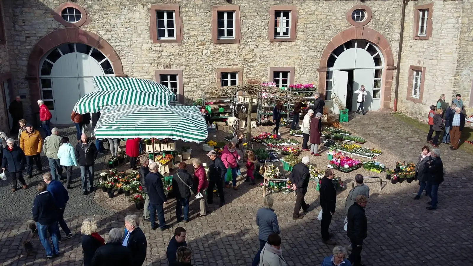 Buntes Treiben auf dem Wiemers-Meyerschen Hof. (Foto: privat)
