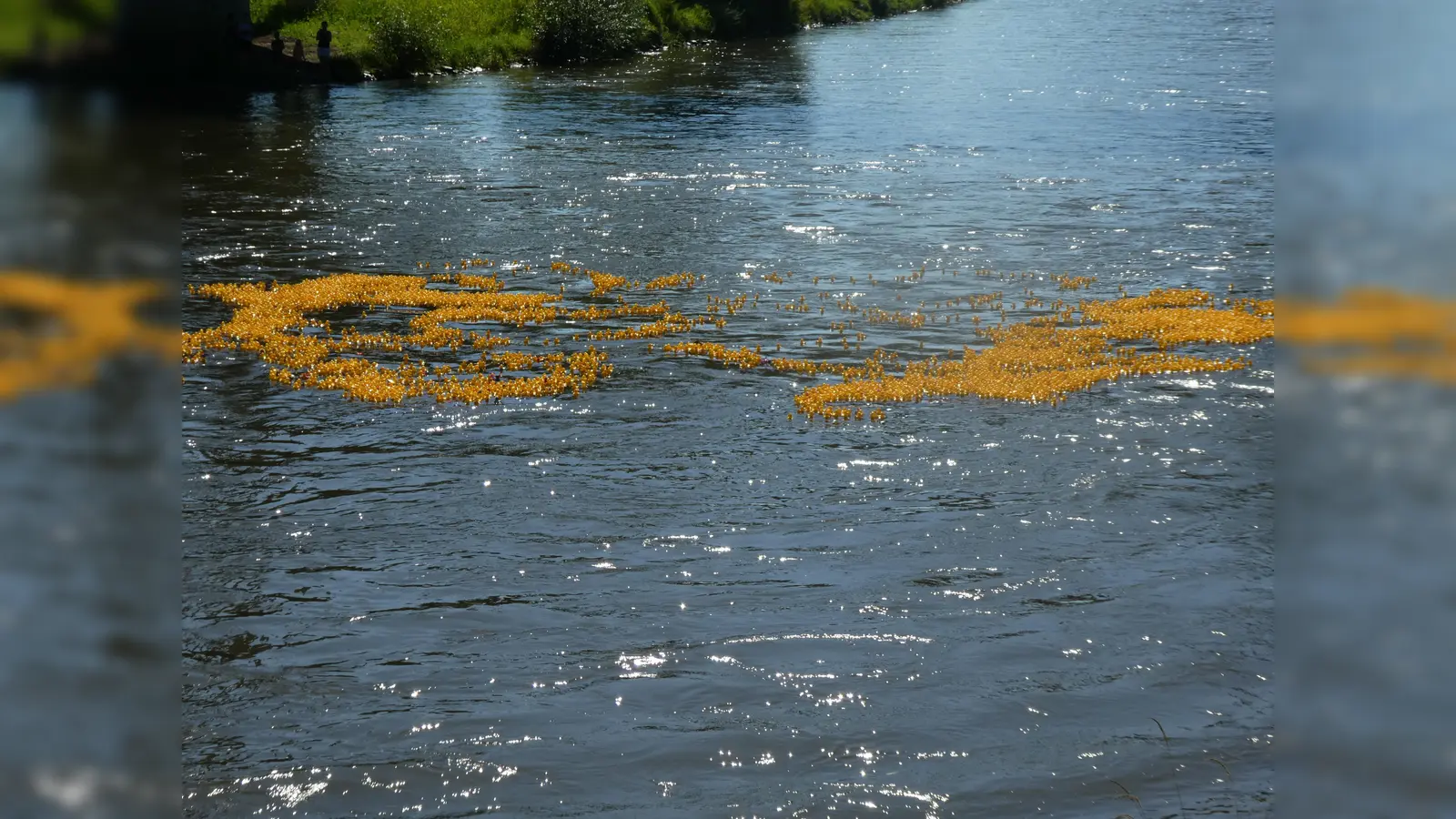 Über 5000 Enten kämpften 2023 um die Siegerplätze. (Foto: privat)
